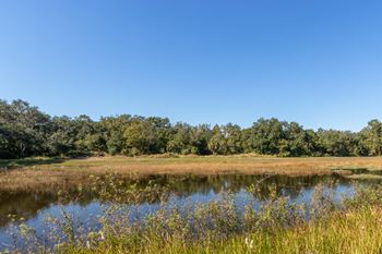 Beautiful nature preserve