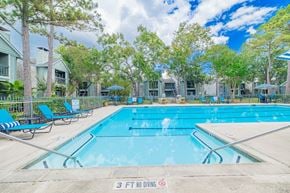 Friendswood apartment for rent - A swimming pool surrounded by trees and chairs with a 3 ft no diving sign.