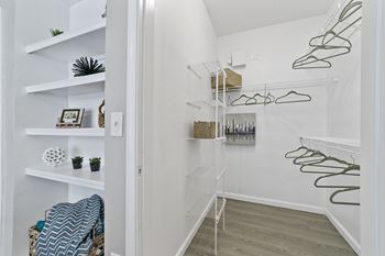 Oversized closets with bulit in shelves