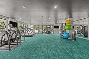 Austin apartment for rent - A gym with a green carpet and various exercise equipment.