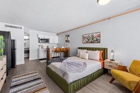 Mesa apartment for rent - A bedroom with a bed, chair, and a cactus plant.