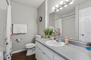 Austin apartment for rent - A bathroom with a toilet, sink, mirror, and a plant.