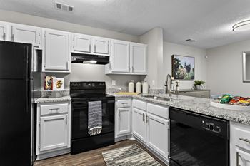 Sleek black appliances