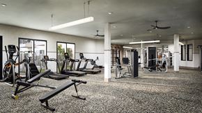Anna apartment for rent - A gym with a variety of equipment including treadmills, weights, and a bench press.
