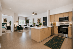 Apopka apartment for rent - A modern kitchen with wooden cabinets and a large island.
