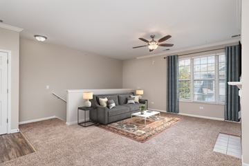 Naperville apartment for rent - A living room with a grey couch and a rug.