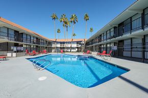 Mesa apartment for rent - A swimming pool surrounded by red chairs and palm trees.