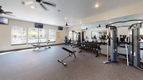 Conroe apartment for rent - A spacious gym with a variety of equipment including treadmills, weights, and exercise machines.