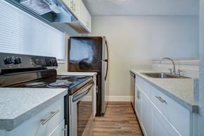 Jacksonville apartment for rent - a kitchen with a stove and a sink and a refrigerator