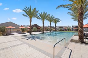 Tolleson apartment for rent - a swimming pool with palm trees and buildings in the background