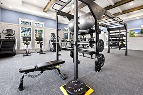Stockbridge apartment for rent - a gym with weights and exercise equipment in a luxury home
