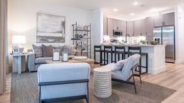 Missouri City apartment for rent - A modern living room with a grey sofa and a grey armchair.