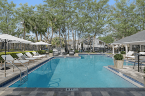 Temple Terrace apartment for rent - A large swimming pool surrounded by trees and lounge chairs.