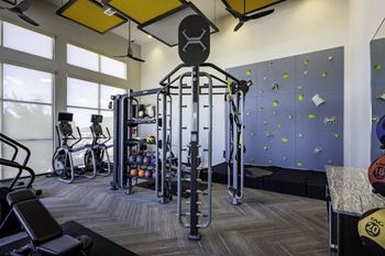 15-Foot rock climbing wall