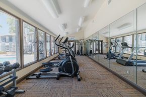 Houston apartment for rent - a gym with cardio equipment and windows at the district at highland village apartments