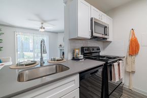 Houston apartment for rent - a kitchen with a sink and a stove and a microwave
