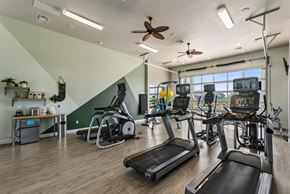 Bryan apartment for rent - A gym with treadmills, elliptical machines, and a fan.
