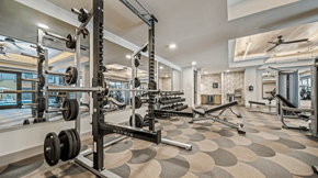 Austin apartment for rent - A well-equipped gym with a variety of weightlifting equipment.