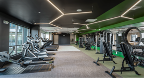 Houston apartment for rent - A gym with treadmills, weights, and exercise machines.