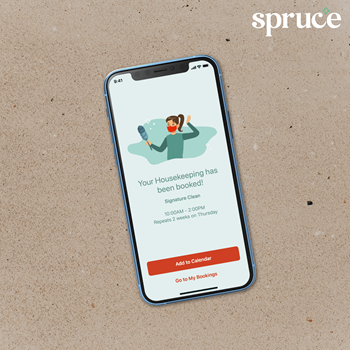 Spruce cleaning services