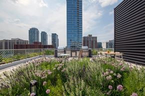 Chicago apartment for rent - A cityscape with a green space in the foreground.