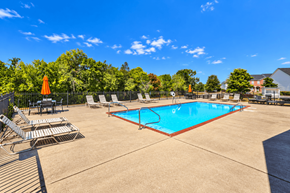 Spring Hill townhouse for rent - A swimming pool surrounded by lounge chairs and trees.