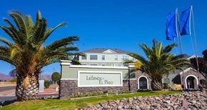 El Paso apartment for rent - a large building with palm trees and flags in front of it
