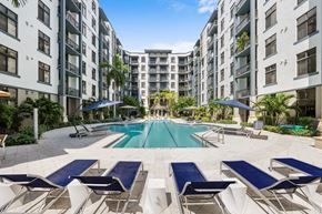 Fort Lauderdale apartment for rent - A swimming pool surrounded by sun loungers and palm trees.