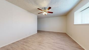 Ceiling fan