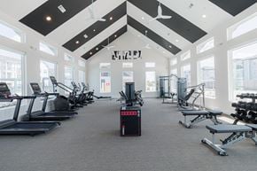 Houston apartment for rent - A gym with treadmills, weights and exercise machines.