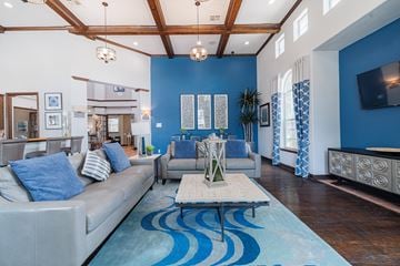Conroe apartment for rent - A living room with a grey couch and a blue rug.