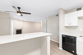 Dallas apartment for rent - a kitchen with a white counter top and a black dishwasher