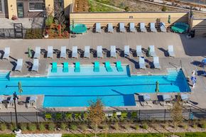 Aurora apartment for rent - A large swimming pool surrounded by sun loungers.