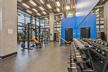 Cardio & free weight stations