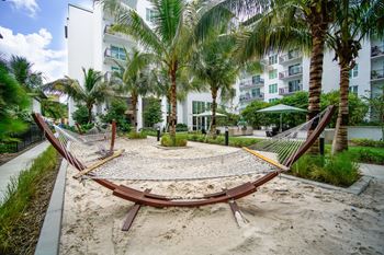 Hammock lounge area