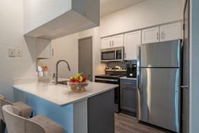 Dallas apartment for rent - a kitchen with stainless steel appliances and a counter top