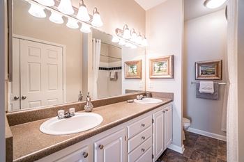 Double vanity sink