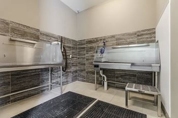 Pet bathing station