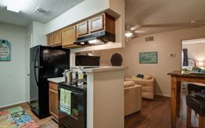 San Antonio apartment for rent - a kitchen and living room with a black refrigerator and stove