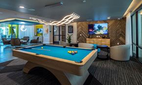 Rosenberg apartment for rent - a pool table in a room with a tv