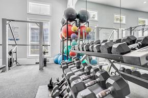 Jacksonville Beach apartment for rent - the gym is equipped with a variety of weights and other workout equipment