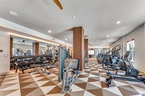 Fort Worth apartment for rent - A gym with a variety of equipment including treadmills, weights, and exercise machines.