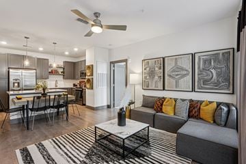 Franklin apartment for rent - A modern living room with a grey sofa and a black and white rug.