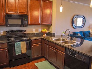 Sleek black appliances