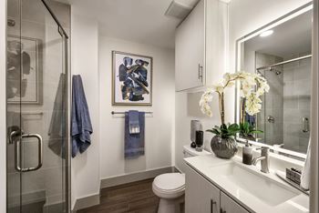 Shower w/ custom tile