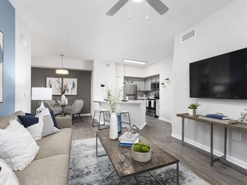 Jacksonville apartment for rent - A modern living room with a grey sofa and a black coffee table.