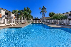 Phoenix apartment for rent - a large blue pool with chaise lounge chairs and palm trees in the background
