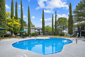 El Paso apartment for rent - A swimming pool surrounded by tall green trees and a building in the background.