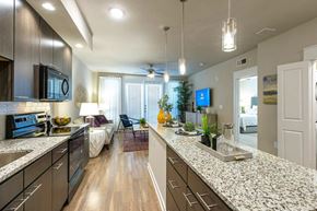 Rosenberg apartment for rent - a kitchen and living room with a counter top
