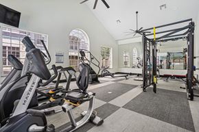 Round Rock apartment for rent - A gym with a variety of equipment including a stationary bike and a pull up bar.